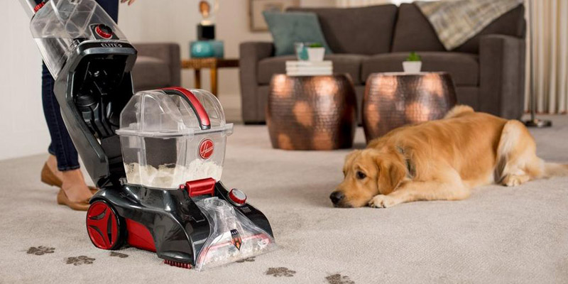 Eliminate Pet Odor Smell From Vacuum Cleaner