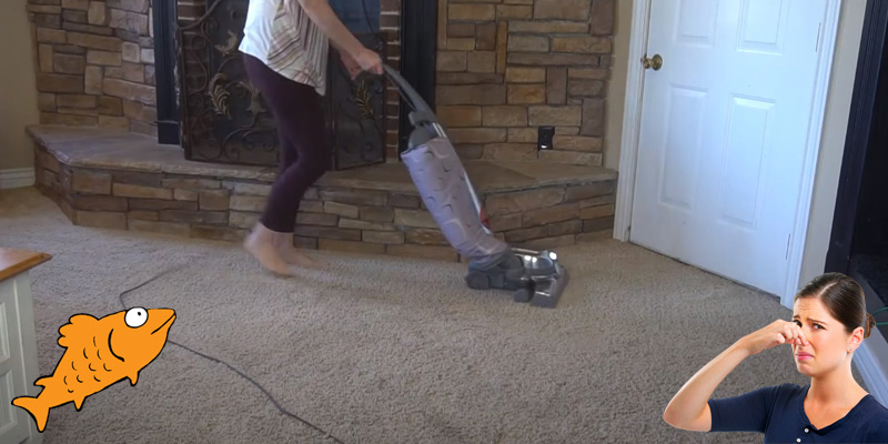 Why Does My Vacuum Smell Like Fish
