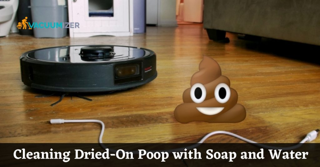 Cleaning Dried-On Poop with Soap and Water