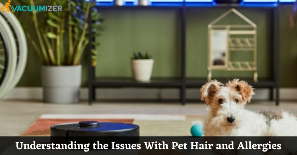 Understanding the Issues With Pet Hair and Allergies