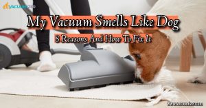 My Vacuum Smells Like Dog